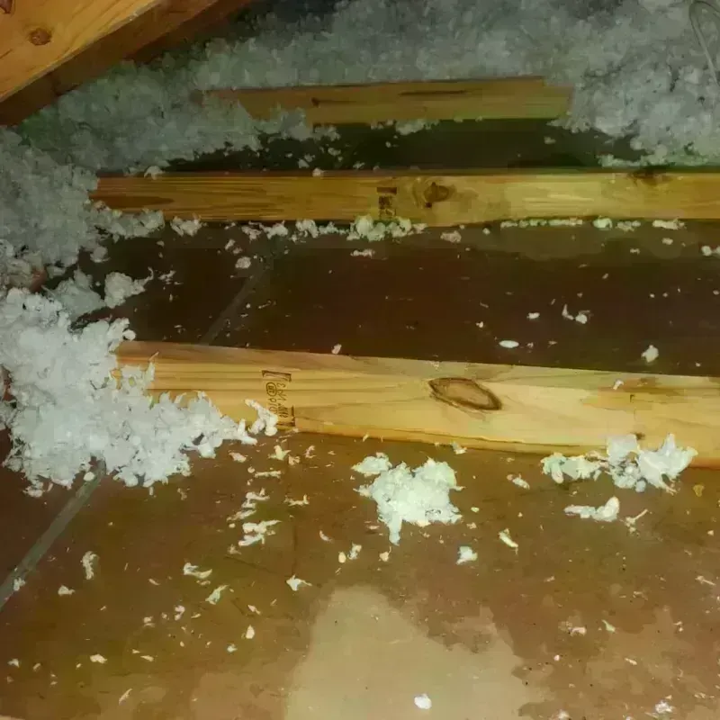 Attic Water Damage in Montclair, CA